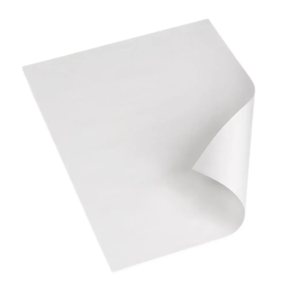 White Chart Paper | Set of 10 | A1 Size | Pastel Sheet | Poster Sheets | 220 GSM Paper | Unruled Paper | Plain Paper | Art and Craft Material view 6